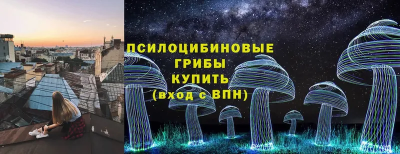 Галлюциногенные грибы Psilocybe  Нижняя Салда 